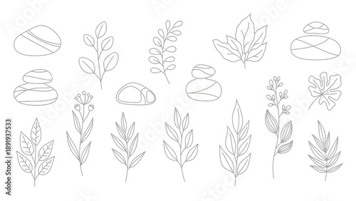 Collection of Hand Drawn Botanical Elements and Zen Stones.