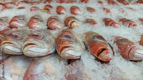 Slika na platnu Close-up of fresh whole red snapper fish arranged on crushed ice at a seafood market