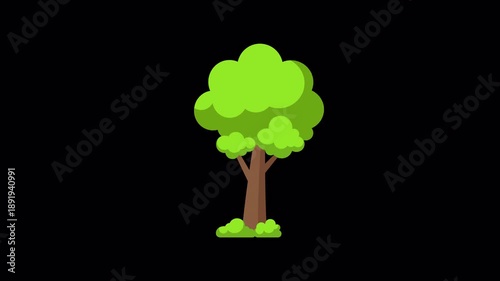 Tree animation and moving tree loop in 4K resolution with transparent background