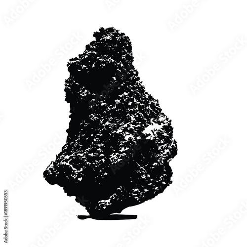 Lump of natural coal isolated on white background