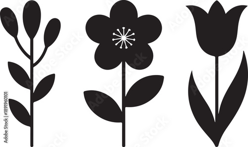 Simple botanical flowers and plant elements, flat monochrome shapes for decoration