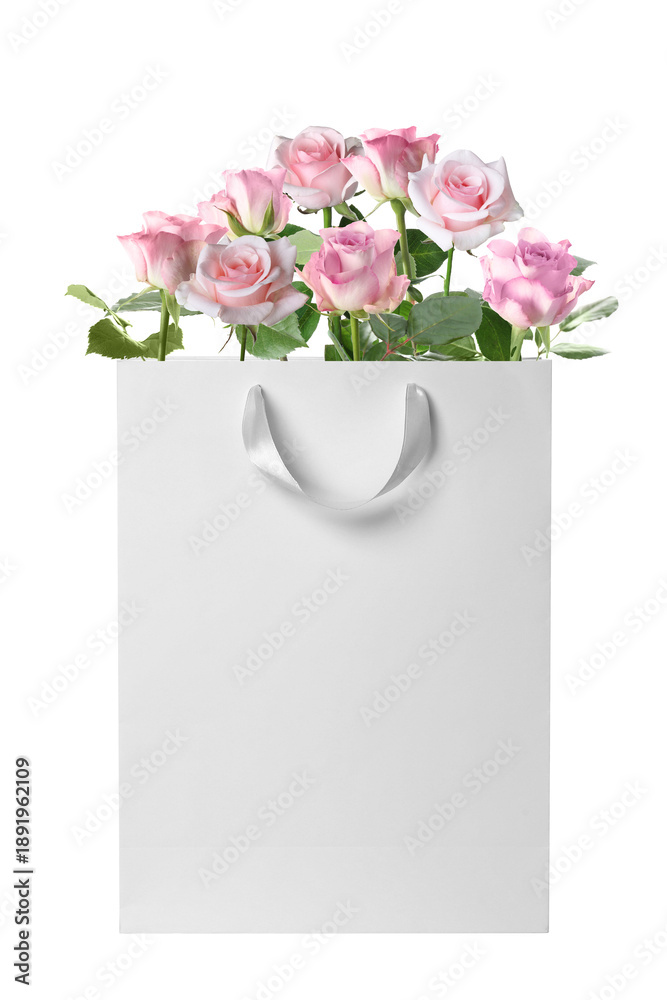 Fototapeta premium Valentine's day surprise. Beautiful pink roses in gift bag isolated on white