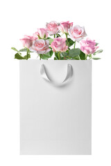 Valentine's day surprise. Beautiful pink roses in gift bag isolated on white