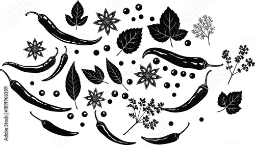 Spices and herbs vector set, chili peppers, peppercorns, leaves, star anise, culinary ingredients, cooking seasoning illustration collection