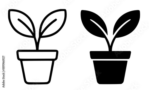 Potted plant illustration icon, black and white in outline and silhouette style