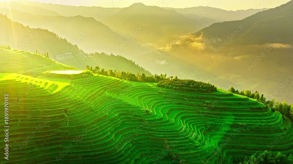 custom made wallpaper toronto digitalAerial shot of spectacular green rice terrace fields with misty mountain range at sunrise in Guilin, China. Famous Longji Terraced Fields natural landscape in summer.