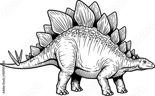 Detailed Black and White Illustration of a Stegosaurus Dinosaur

