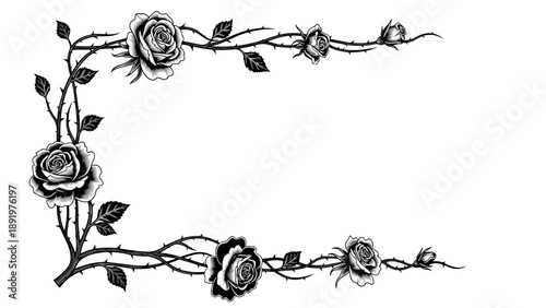 Monochrome Thorny Rose Vine Corner Border Illustration. Decorative Floral Frame Element.