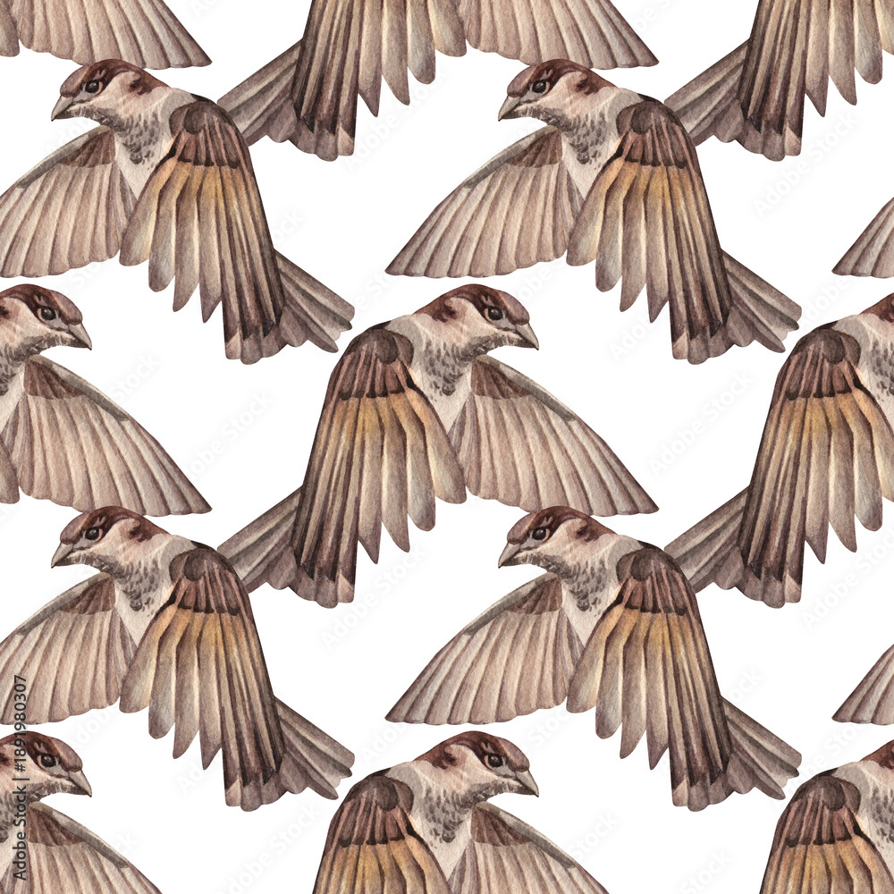 Obraz premium Watercolor seamless pattern with flying sparrow on white background. Wild brown bird for card or celebration invite. Summer or spring time animal with wing. Nature botanical wallpaper or wrapping