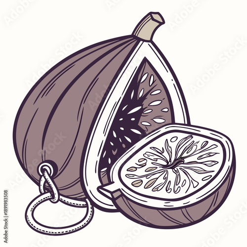 Massive realistic purple fig with its center open to act as a luxurious coin purse