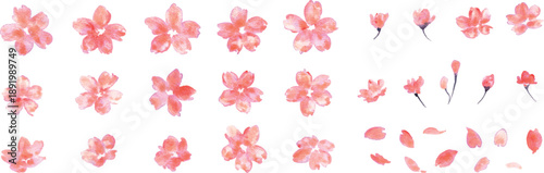 桜イラスト。水彩画で描いた桜の春背景。桜のベクターイラスト。春の桜フレーム。
Cherry blossom illustration. Spring background with watercolor cherry blossoms. Cherry blossom vector illustration. Spring cherry blossom frame.