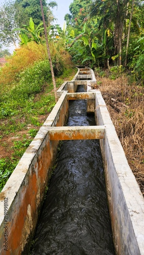 Irrigation water for rice fields flowing in a river whose walls are made of cement