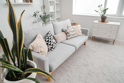 Interior of light living ro...
