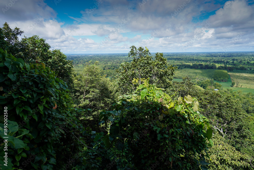 Obraz premium Native unspoiled landscape showing native trees surviving in agricultural dominated landscape environmental issues viewed from mountain top