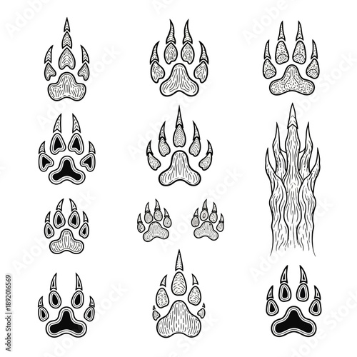 Detailed bear paw illustrations for nature-inspired designs, wild animal projects, and outdoor themes, designed originally as scalable vector graphics