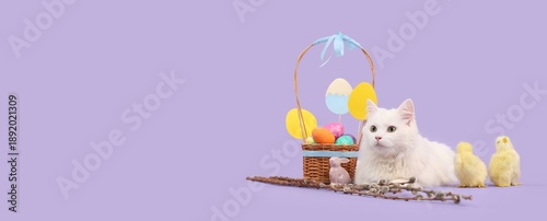 Cute white cat, Easter bask...