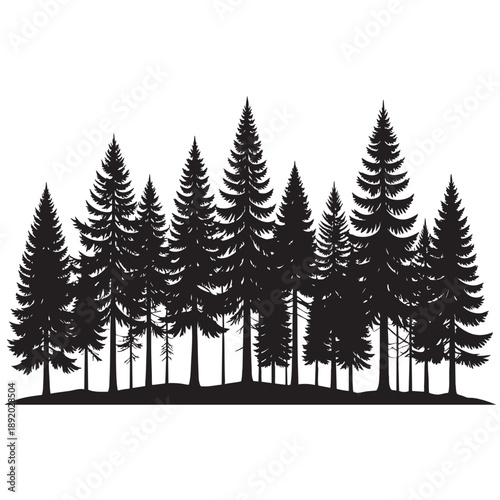 Black silhouette of a group of pine trees on a for design and decoration purposes