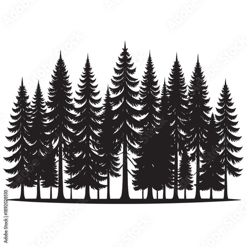 Black silhouette of a dense forest of pine trees with tall evergreen conifers