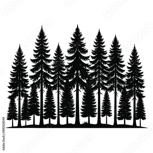 Black silhouette of a group of pine trees