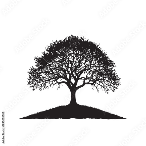 Black silhouette of a tree on a hill with grass