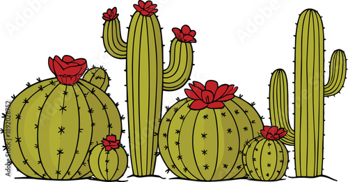 Blooming desert cactus vector illustration with red flowers and various succulent plants isolated on white background