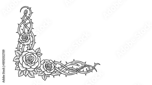 Black and White Rose and Thorn Corner Border Illustration