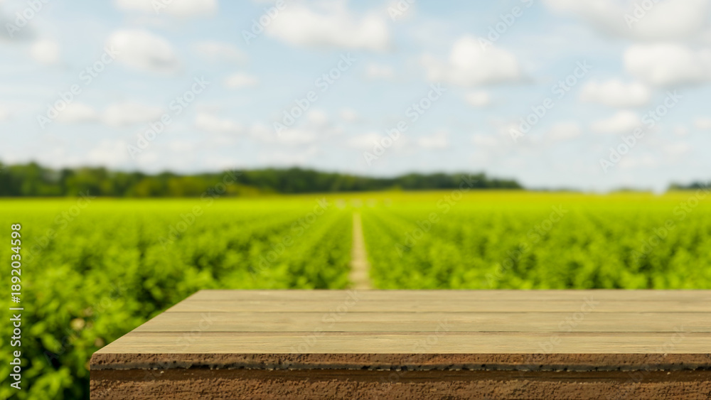Naklejka premium Empty wooden table bench across green field of vegetable plant in outdoor natural farm with sunlight