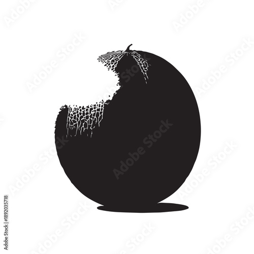 Black Cantaloupe Silhouette Vector, High Quality Illustration on White Background
