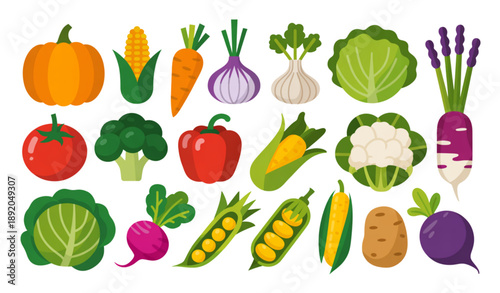 Organic farm vegetables vector set with seasonal fresh produce isolated on white background illustration