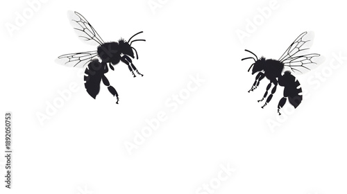 Two stylized bees in flight against a clean white background