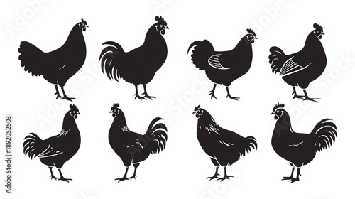 Collection of black chicken silhouettes showcasing various breeds and poses