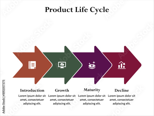 Four aspects of product life cycle - introduction, growth, maturity, decline. Infographic template with icons and description placeholder