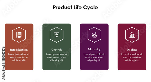 Four aspects of product life cycle - introduction, growth, maturity, decline. Infographic template with icons and description placeholder