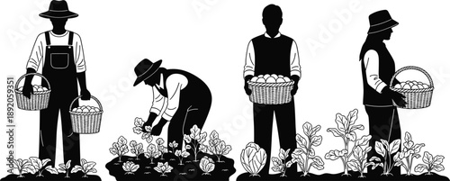 Harvesting silhouette, farm workers, vegetable garden, produce baskets, manual labor, crop collection, agriculture scene, flavector