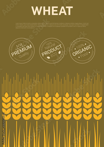 Wheat cover poster with golden cereal ears on a brown background, with eco friendly labels for premium, natural and organic food. Agricultural template for farm branding, packaging or healthy food