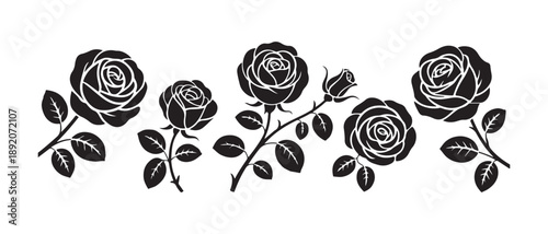 Abstract vector art design Vector