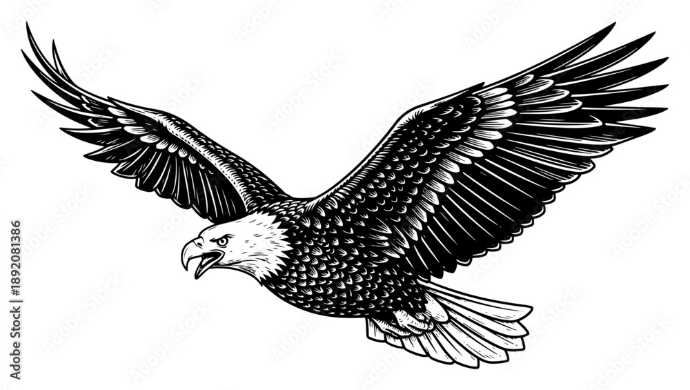 Obraz premium Flying bald eagle engraving style sketch Vector illustration of bird of prey with open wings