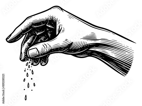 Hand sprinkling salt or spices vector illustration in vintage engraving style