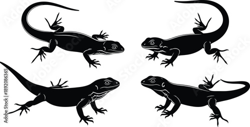 Lizard silhouette collection with reptile poses isolated on white background, gecko salamander amphibian wildlife illustration set