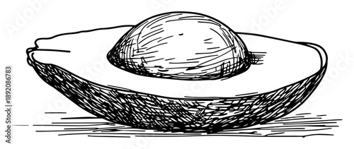 half avocado fruit with seed hand drawn sketch