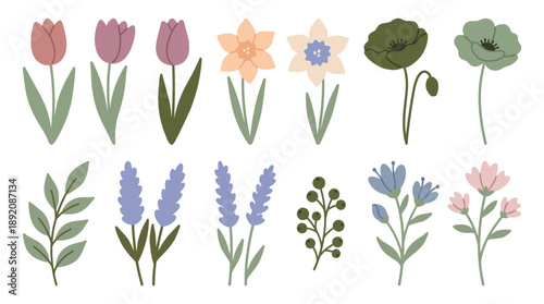 Cute flat cartoon spring flower elements isolated on white background, including tulips, poppies and lavender, concept for graphic design, seasonal posters and pattern creation
