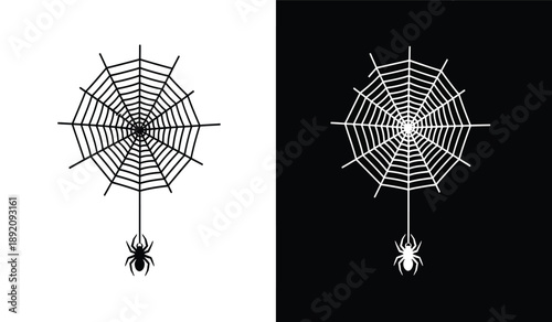 Spider web with spider hanging down isolated and