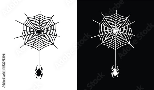 Fotografia Black and white spider web with spider hanging down and