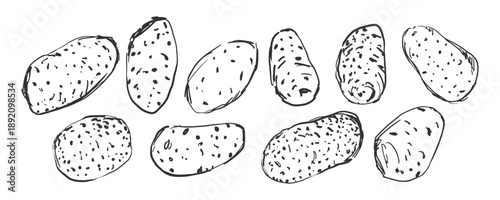 Collection of hand drawn potato illustrations. Black and white sketch style. Vector images for recipe cards, food blogs, restaurant menus, cooking tutorials, packaging, labels, or kitchen decoration.