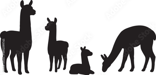 Llama silhouette icon set standing, sitting, grazing animal symbol vector illustration