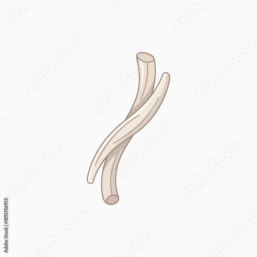 Bundles of pale beige colored hollow cylindrical objects intertwined and overlapping each other in a twisting manner