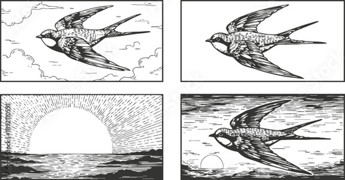 Swallow bird in flight and sunrise over ocean, vintage nature and wildlife illustrations