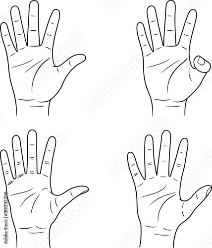 Hand Palm Line Drawing Vector, Open Human Hands Illustration, Black and White Sketch, Palmistry, Gesture Symbol, Isolated Clipart, Editable Outline Art