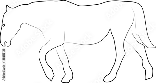 A simple line drawing. Horse, side view. vector design eps 10