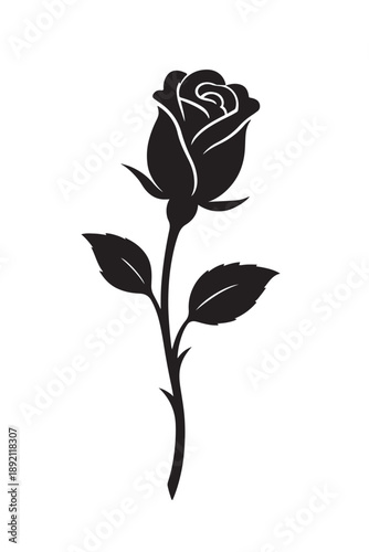 Black rose vector illustration isolated on white background with detailed petals and elegant floral design